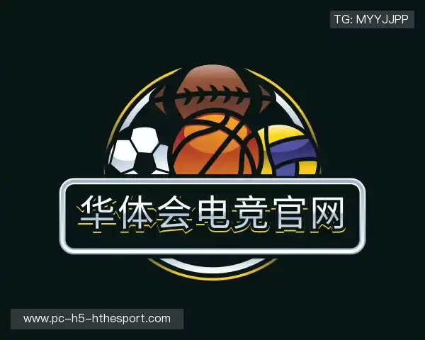介绍hth华体电竞